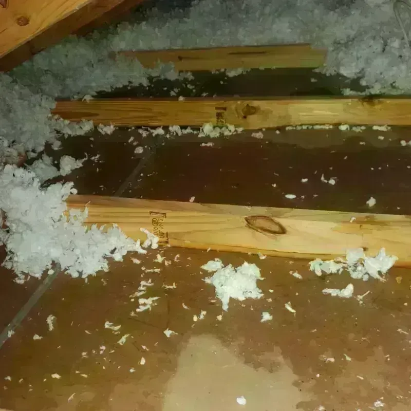 Attic Water Damage in Rich Hill, MO